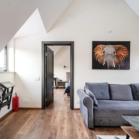 Cozy Attic Self Check In * Vilnius