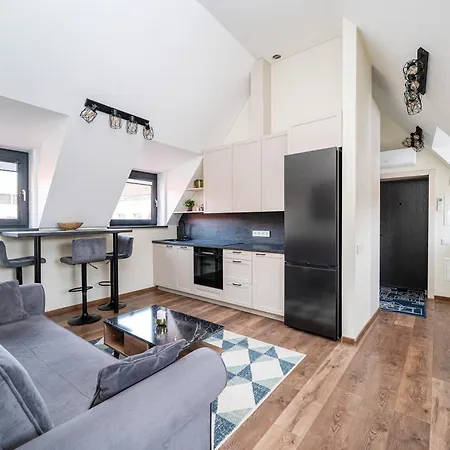 Cozy Attic Self Check In Vilnius