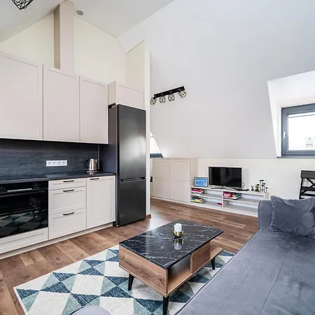 Cozy Attic Self Check In Apartment Vilnius