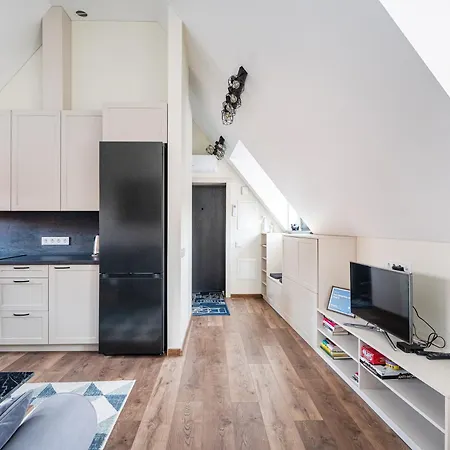 Cozy Attic Self Check In Apartmán Vilnius